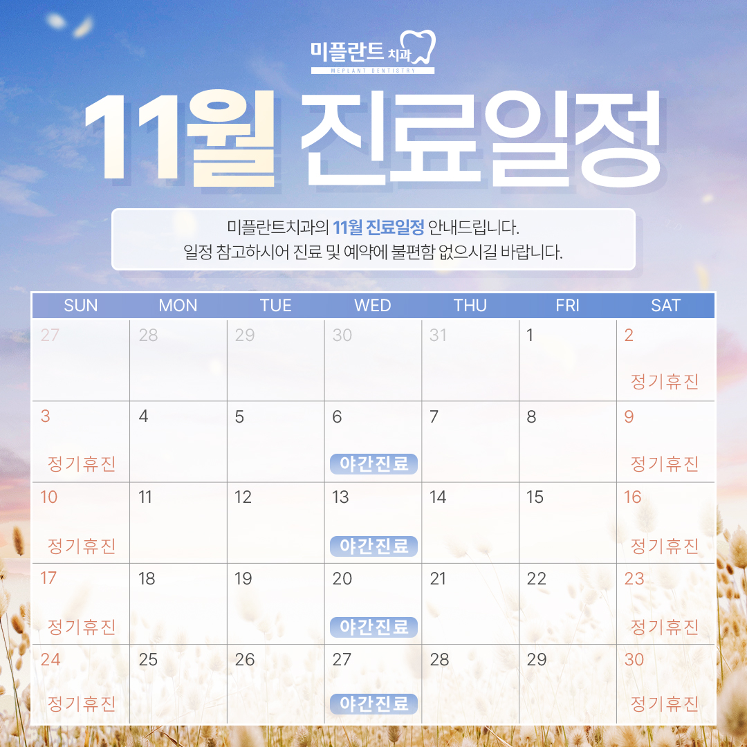 11월 진료일정